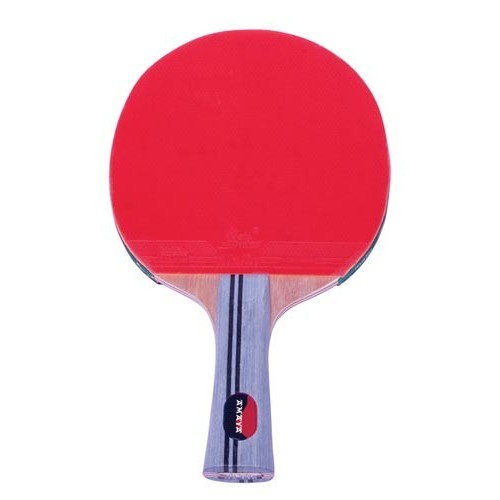 Raqueta tenis de mesa M3002