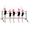 Double Group Ballet Barre