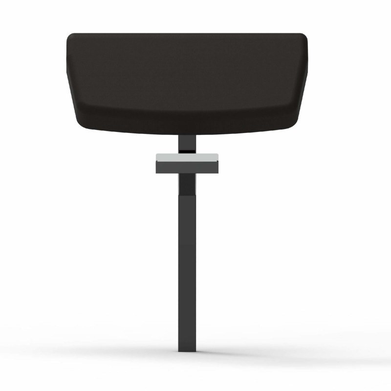 Arm Curl for Adjustable Functional Bench