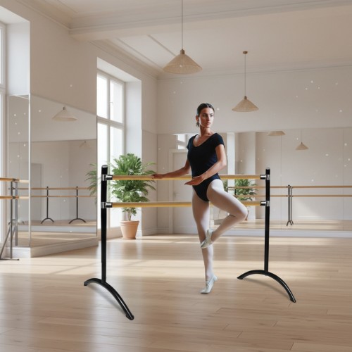 Double Ballet Barre