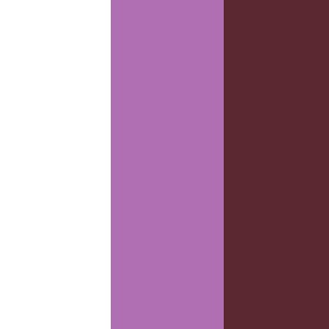 No.2 - White / Lilac / Purple