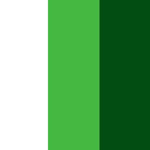 No.6 - White / Light Green / Green