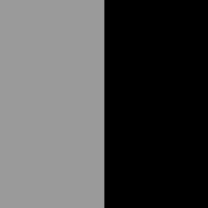 Gris/Negro