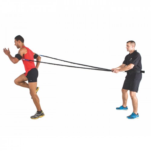 Double arm and leg muscle training