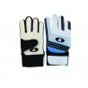 GUANTES WARRIOR (PAR)