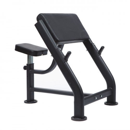 Seated Preached Curl