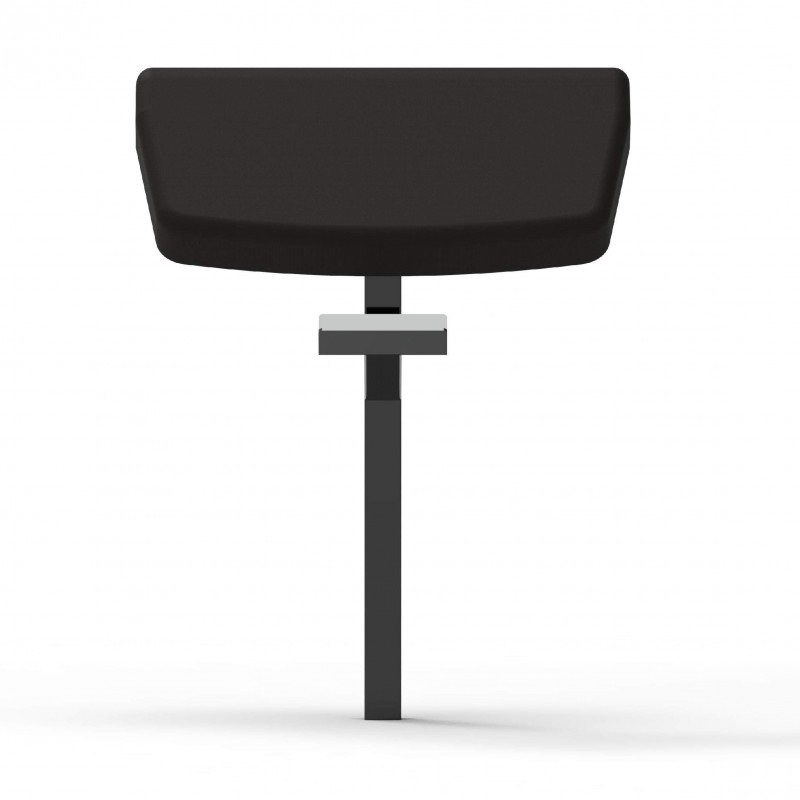 Adjustable Functional Bench + Arm Curl