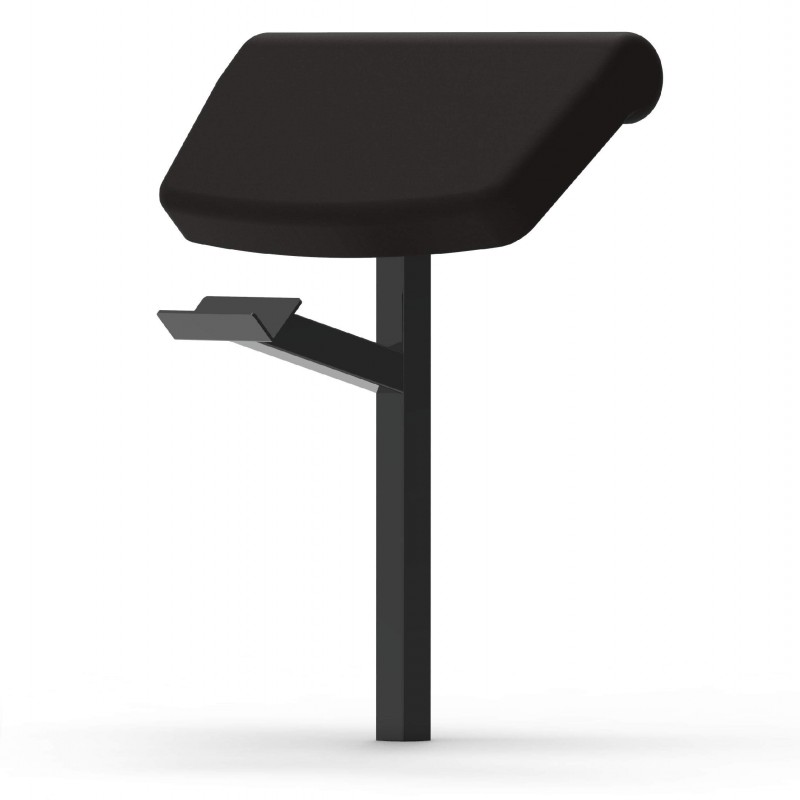 Adjustable Functional Bench + Arm Curl