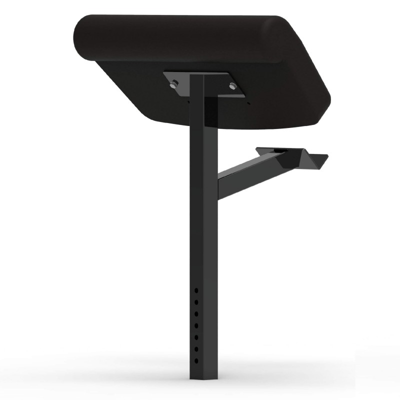 Adjustable Functional Bench + Arm Curl