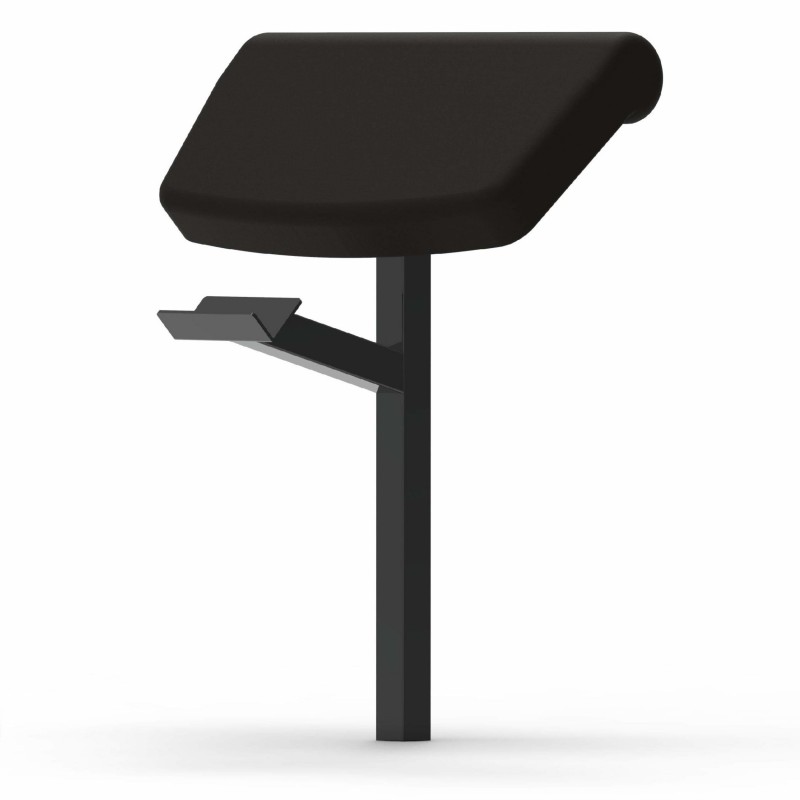 Adjustable functional bench + Arm curl + Leg extension