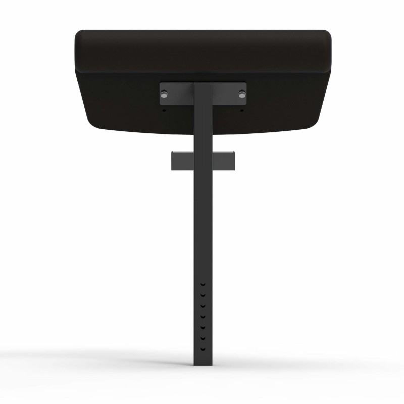 Adjustable functional bench + Arm curl + Leg extension