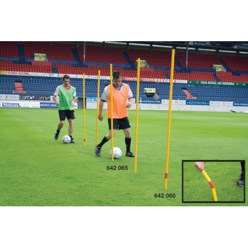 Pica Slalom