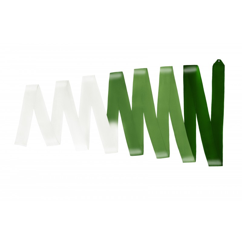 Multicolor competition silk ribbon 6m + Rod