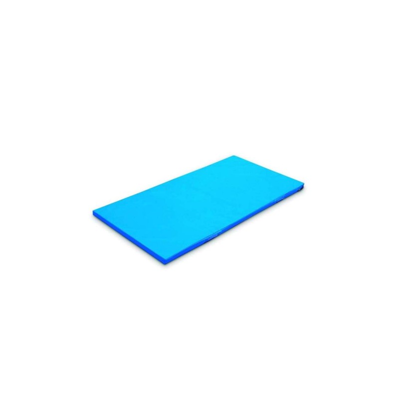 COLCHONETA BASIC 200 x 100 x 10 cm densidad 30 kg/m3