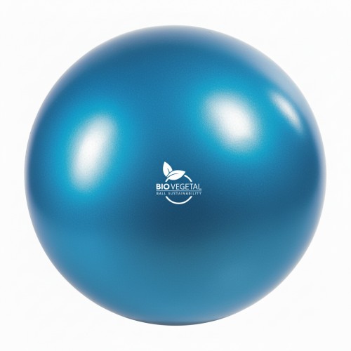 Pilates Ball Ø240 mm