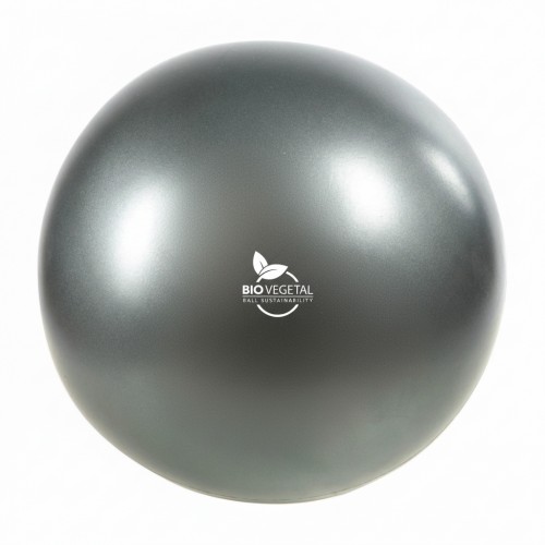 Pilates Ball Ø240 mm