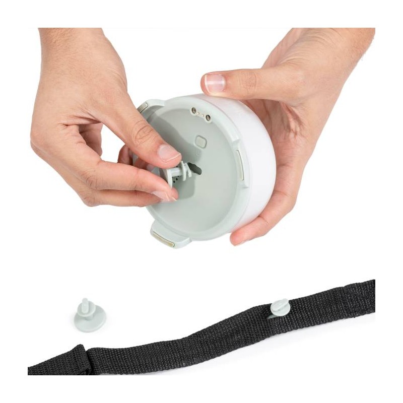 Lummic Luces de Reacción (Individual)