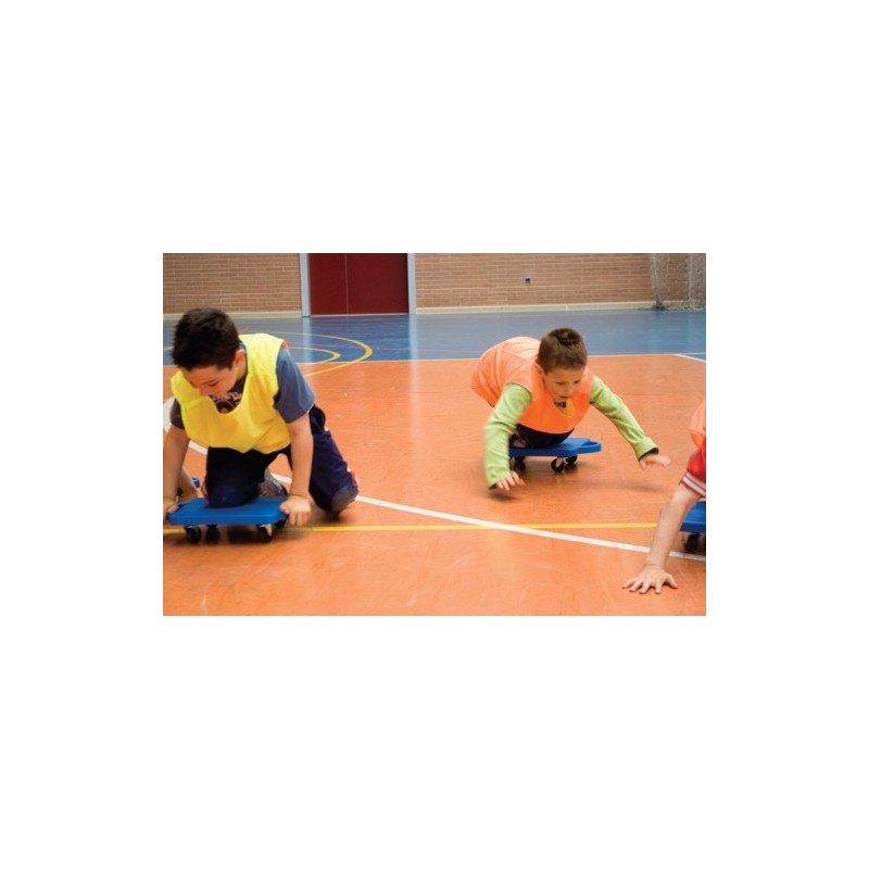 Small Scooter Chart. 30 Cm.