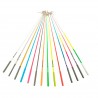 Multicolor Training Stick with P3 Bearing 60 cm
