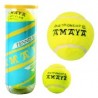 Pressurized Tennis Ball