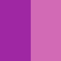 Dark Fuchsia / Light Fuchsia