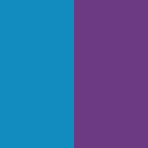 11. Blue / Purple